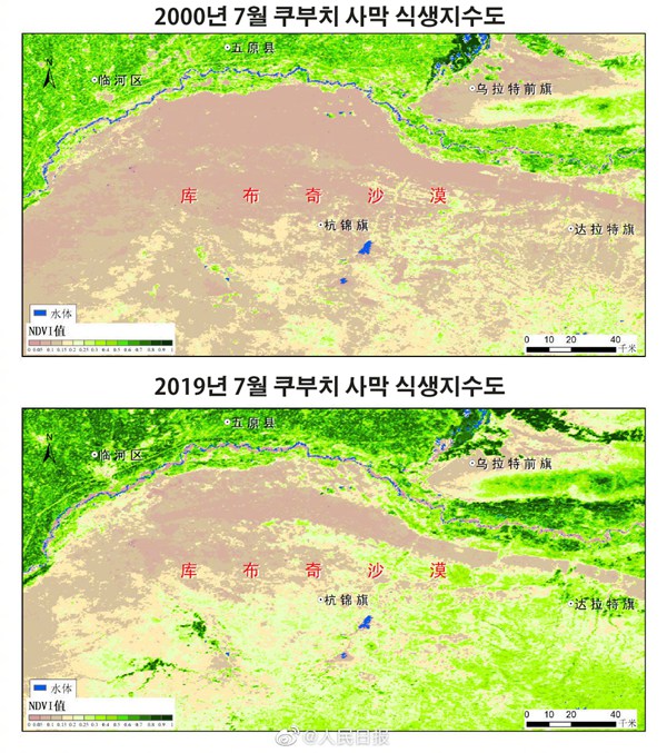 풀 한 포기 없던 땅이 녹색지대로! 