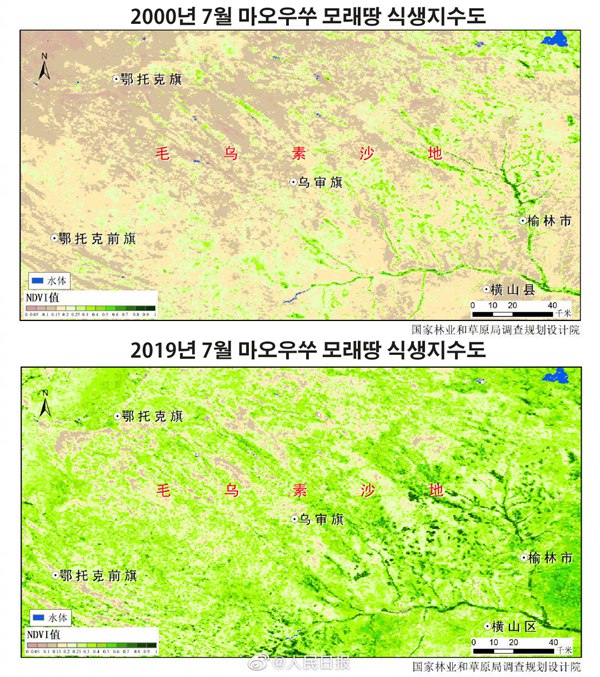 풀 한 포기 없던 땅이 녹색지대로! 