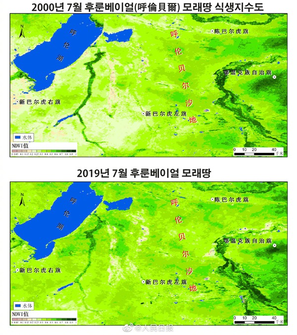 풀 한 포기 없던 땅이 녹색지대로! 