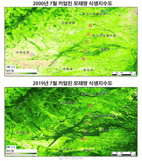 풀 한 포기 없던 땅이 녹색지대로! 