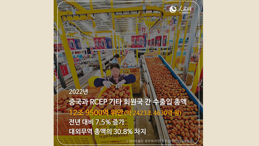 [카드뉴스] 지난해 中-RCEP 기타 회원국 간 무역액 12조 9500억 위안
