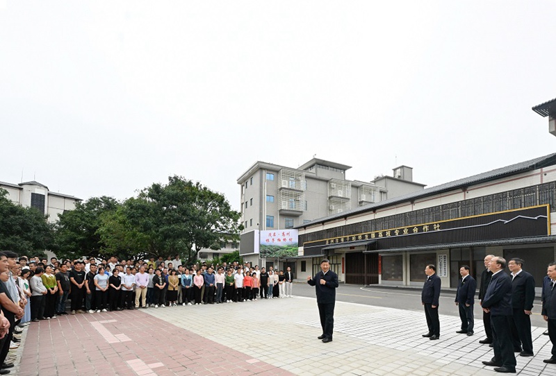 시진핑 주석, 광둥성 시찰