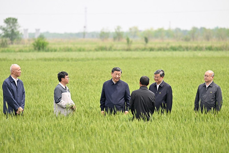 시진핑 주석, 허베이 창저우시 시찰