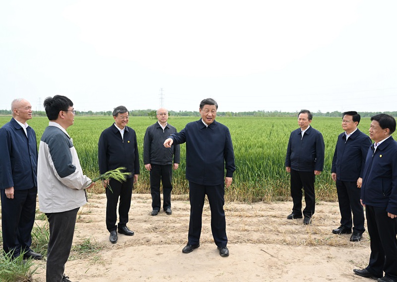 시진핑 주석, 허베이 창저우시 시찰