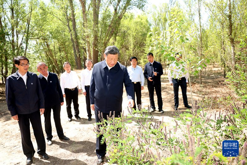 시진핑 주석, 네이멍구 바옌나오얼 시찰 및 사막화 종합방지 강화와 3북 등 중점 생태공정 건설 촉진 좌담회 주재