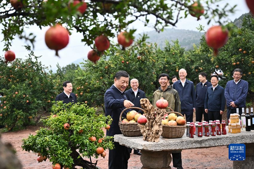 시진핑 주석, 저장 시찰 후 산둥 짜오좡시 방문