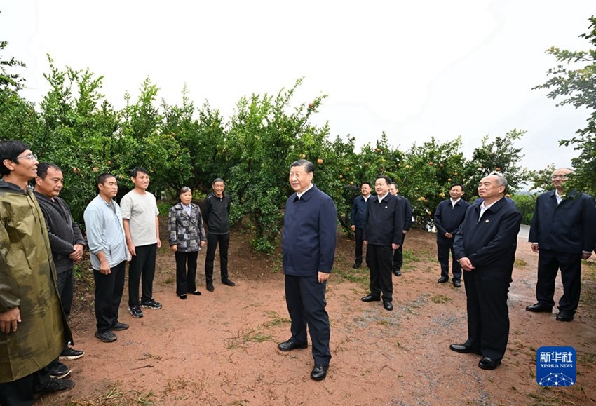 시진핑 주석, 저장 시찰 후 산둥 짜오좡시 방문