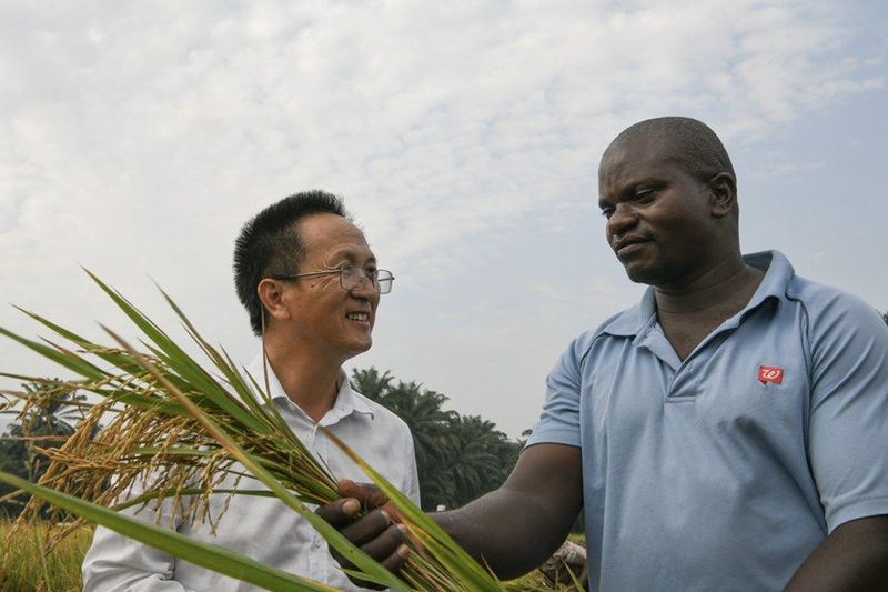 아프리카에서 맛보는 중국 ‘쌀밥’의 맛
