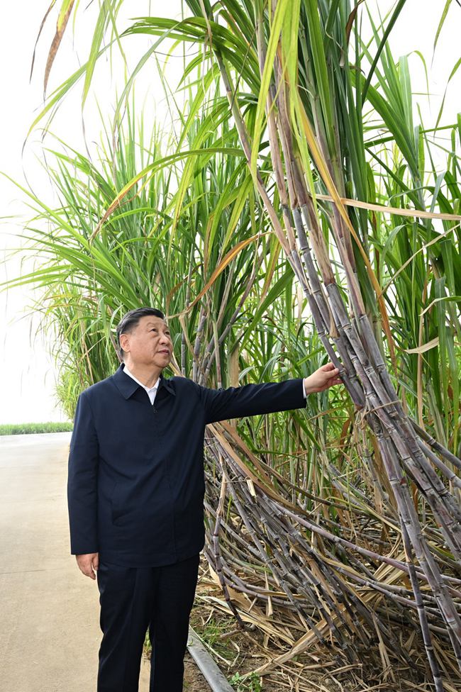 시진핑 주석, 광시 라이빈시 시찰 나서