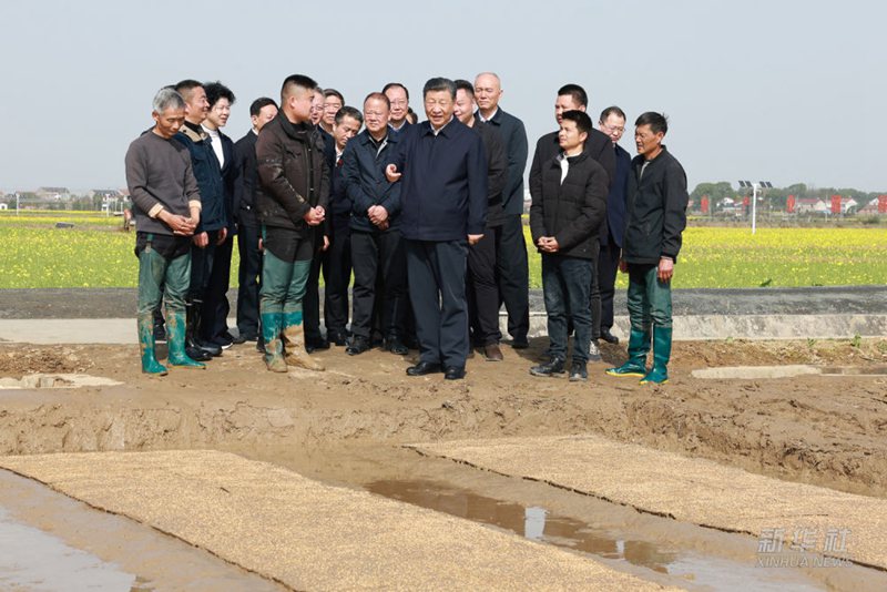 시진핑 주석, 후난성 창더시 시찰