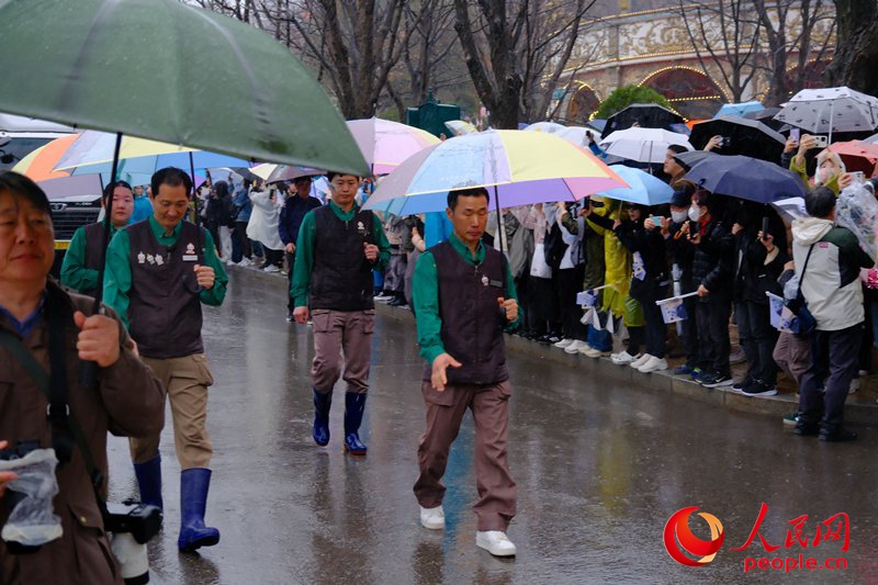 ‘푸바오’ 3일 귀국, 한국 팬들 궂은 날씨에도 배웅 나와