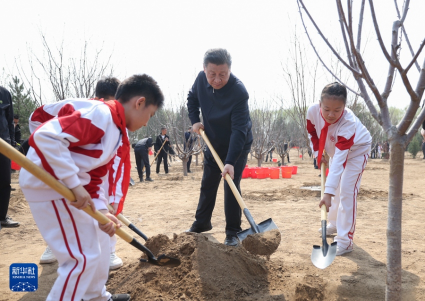 시진핑 등 당과 국가 지도자, 베이징서 나무심기 행사 참석