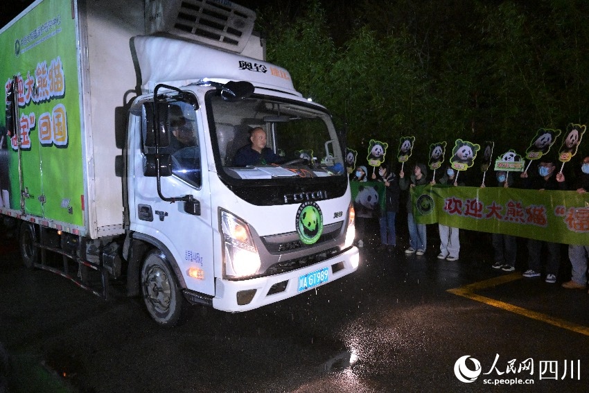 [포토] 푸바오, 고향 도착...새집 입주