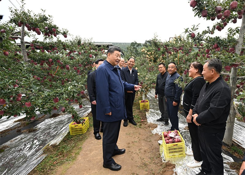 시진핑 주석, 간쑤성 시찰