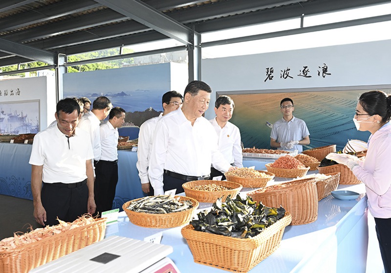 시진핑 주석, 푸젠성 시찰