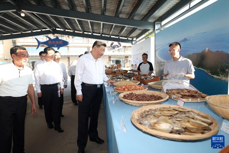 시진핑 주석, 푸젠성 시찰