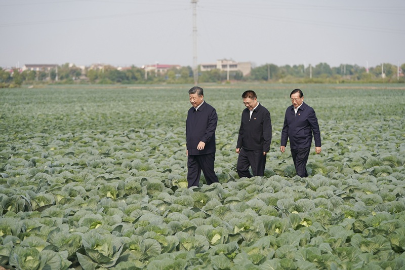 시진핑 주석, 후베이성 시찰