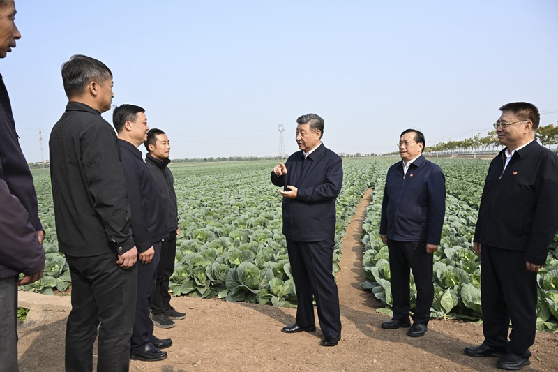 시진핑 주석, 후베이성 시찰