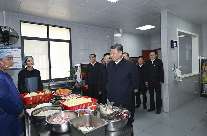 시진핑 주석, 후베이성 시찰