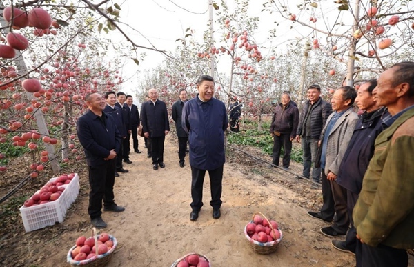 시진핑 주석과 사과에 얽힌 에피소드