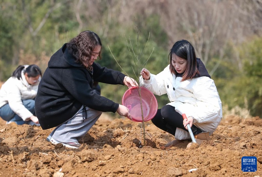 中, 다채로운 활동으로 ‘세계 여성의 날’ 맞이