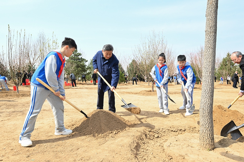 시진핑 등 당과 국가 지도자, 식목행사 참석