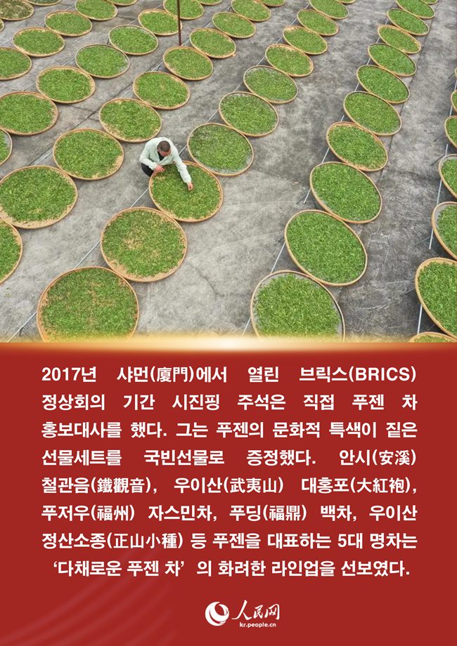 시진핑 주석과 푸젠 차(茶)에 얽힌 이야기