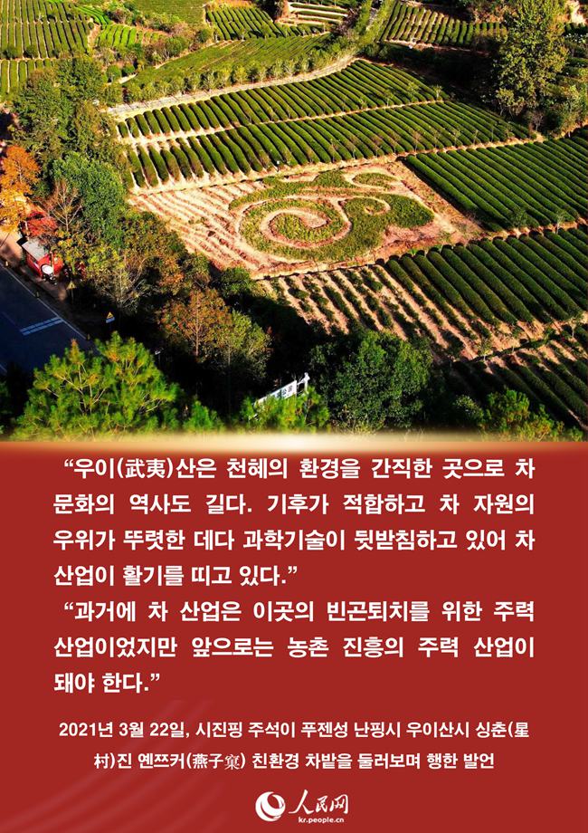 시진핑 주석과 푸젠 차(茶)에 얽힌 이야기
