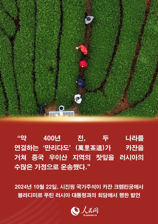 시진핑 주석과 푸젠 차(茶)에 얽힌 이야기