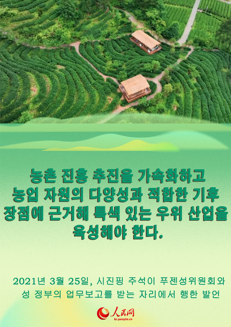 [농촌진흥편] 시진핑 주석, 푸젠성 농촌 진흥의 길 제시
