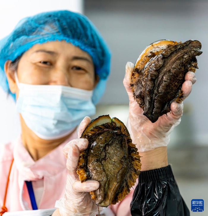 푸젠 푸톈 전복, 해외 시장으로 분주히 ‘항해’