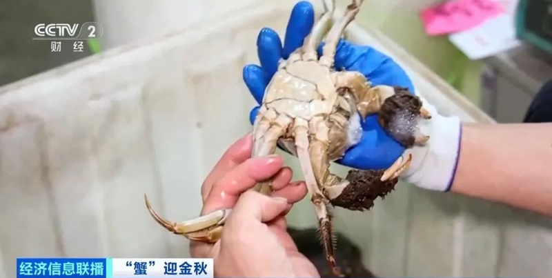 中 월수입 2만 위안에도 인력난 겪는 이 직업
