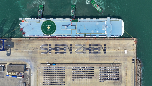 中 신에너지차 월간 신차 판매 비중 첫 50% 돌파