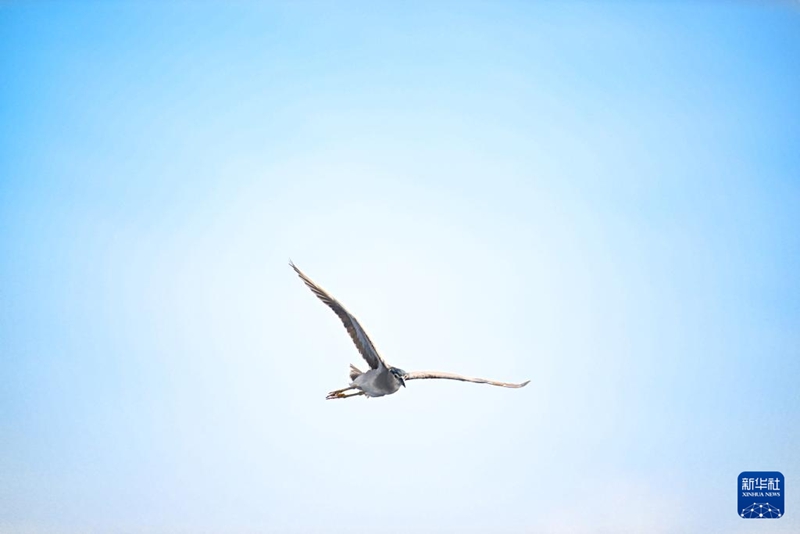 [포토] 中 남중국해, 그림 같은 아름다움