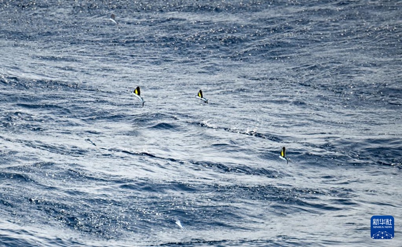 [포토] 中 남중국해, 그림 같은 아름다움