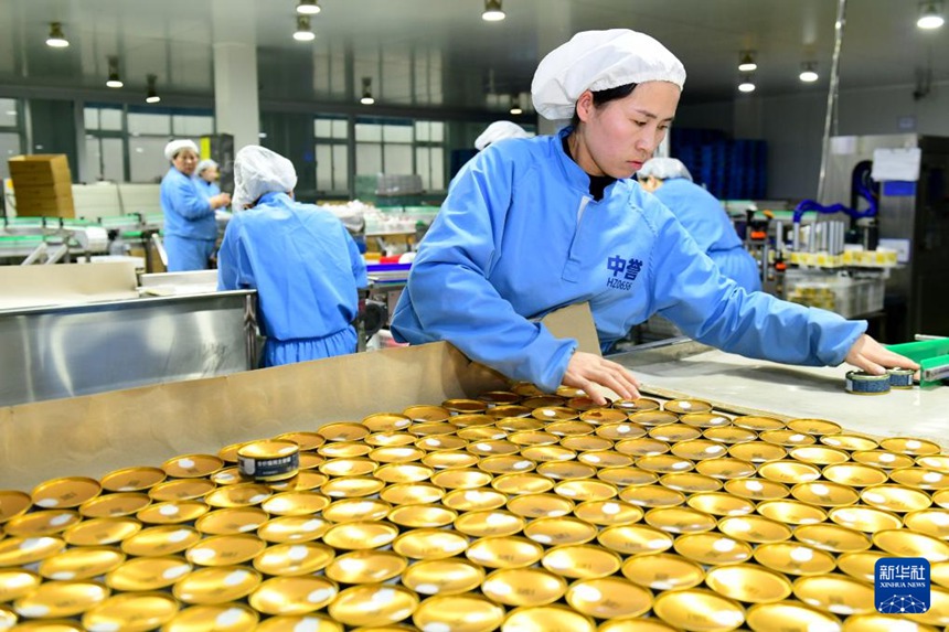 중위(中譽)펫푸드[허쩌(菏澤)]유한공사에서 직원들이 반려동물 사료 생산라인에서 작업 중이다. [11월 29일 촬영/사진 출처: 신화사]