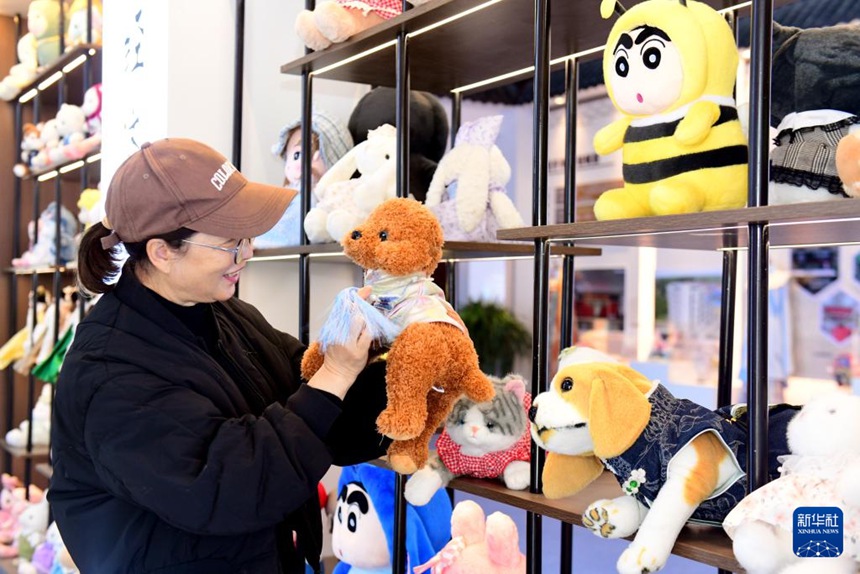 산둥성 차오현, ‘펫코노미’라는 황금알 낳는 거위 키우다