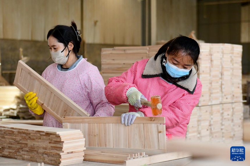 산둥성 차오현, ‘펫코노미’라는 황금알 낳는 거위 키우다