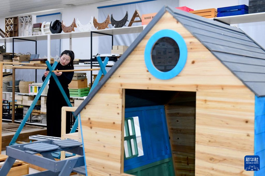 산둥성 차오현, ‘펫코노미’라는 황금알 낳는 거위 키우다