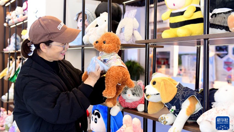 산둥성 차오현, ‘펫코노미’라는 황금알 낳는 거위 키우다