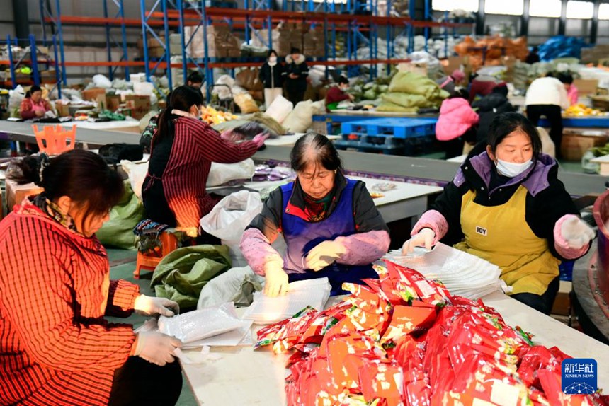 산둥 양안, ‘풍미 가득’ 마을 발전 이야기