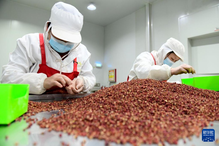 산둥 양안, ‘풍미 가득’ 마을 발전 이야기