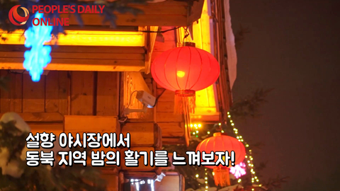 설향 야시장서 만나는 동북 밤의 활기