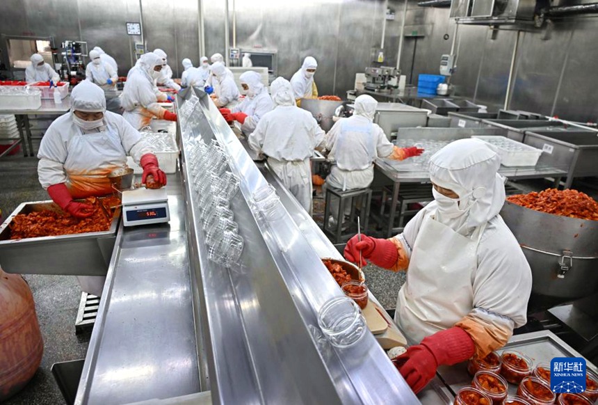 산둥 핑두, 설맞이 김치 생산 한창