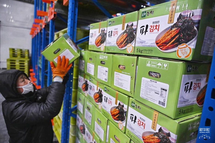 산둥 핑두, 설맞이 김치 생산 한창