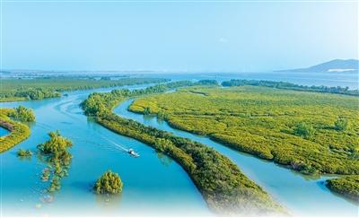 中 습지 면적, 아시아 1위-세계 4위