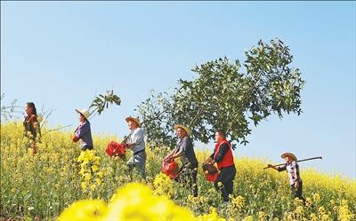 中, 지난해 조림 면적 356만 3000ha