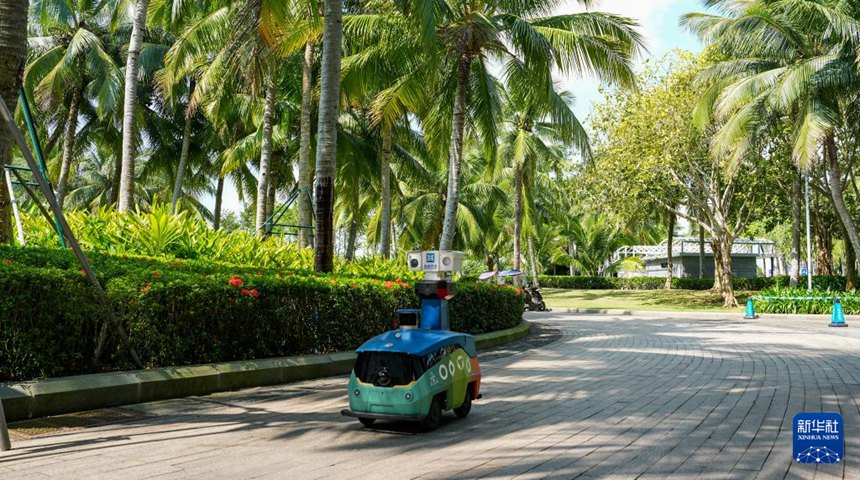 스마트 로봇, 보아오 포럼 빛내