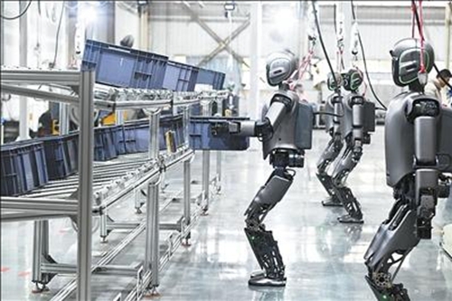 윤택한 삶의 조력자 로봇