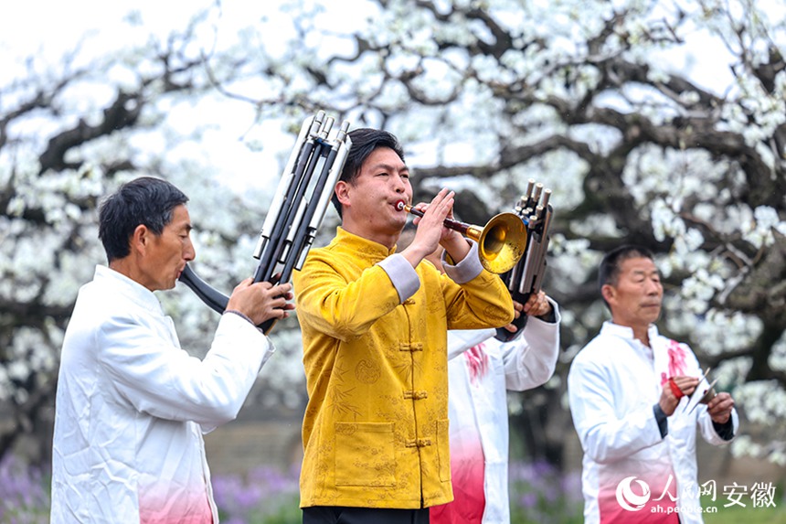 안후이 당산, 배꽃 활짝 피며 ‘봄 경제’ 불붙다